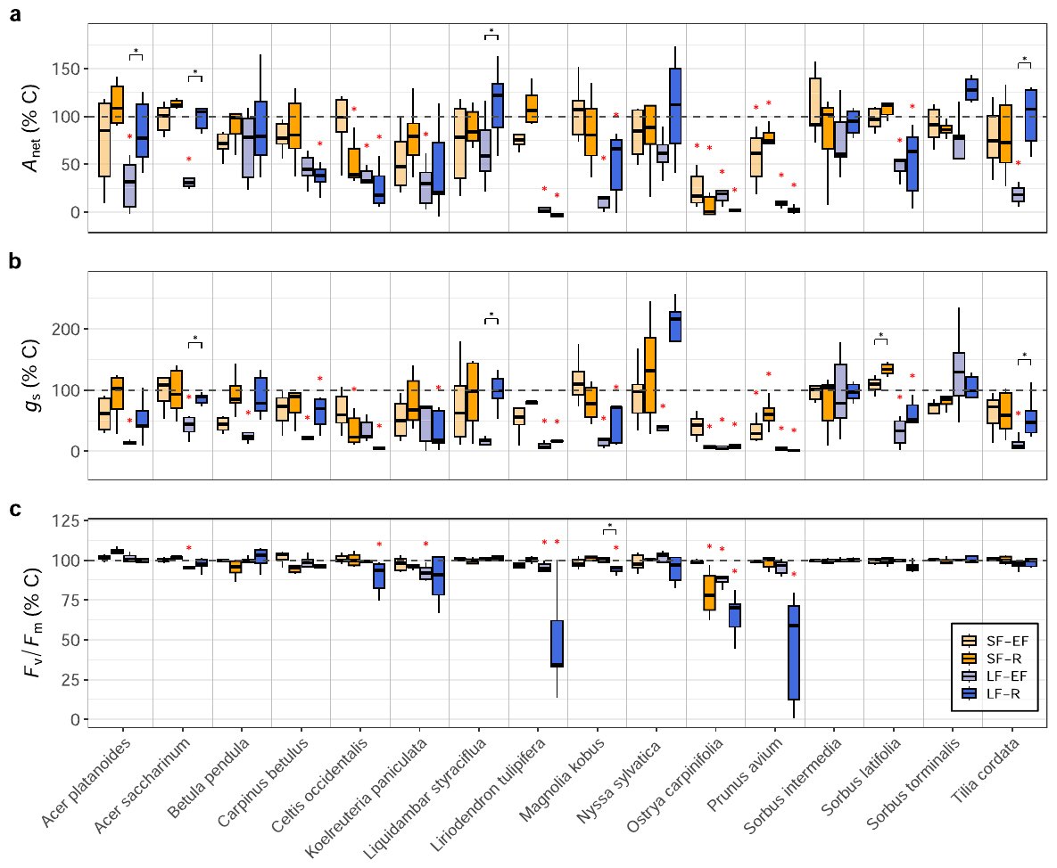 Boxplots of photosynthesis, stomatal conductance and Fv/Fm for all 16 species under short and long flooding, at the end of flooding and after recovery