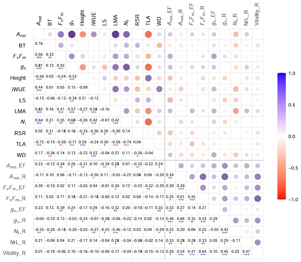 Correlation matrix of the 12 tree traits and the flooding response variables