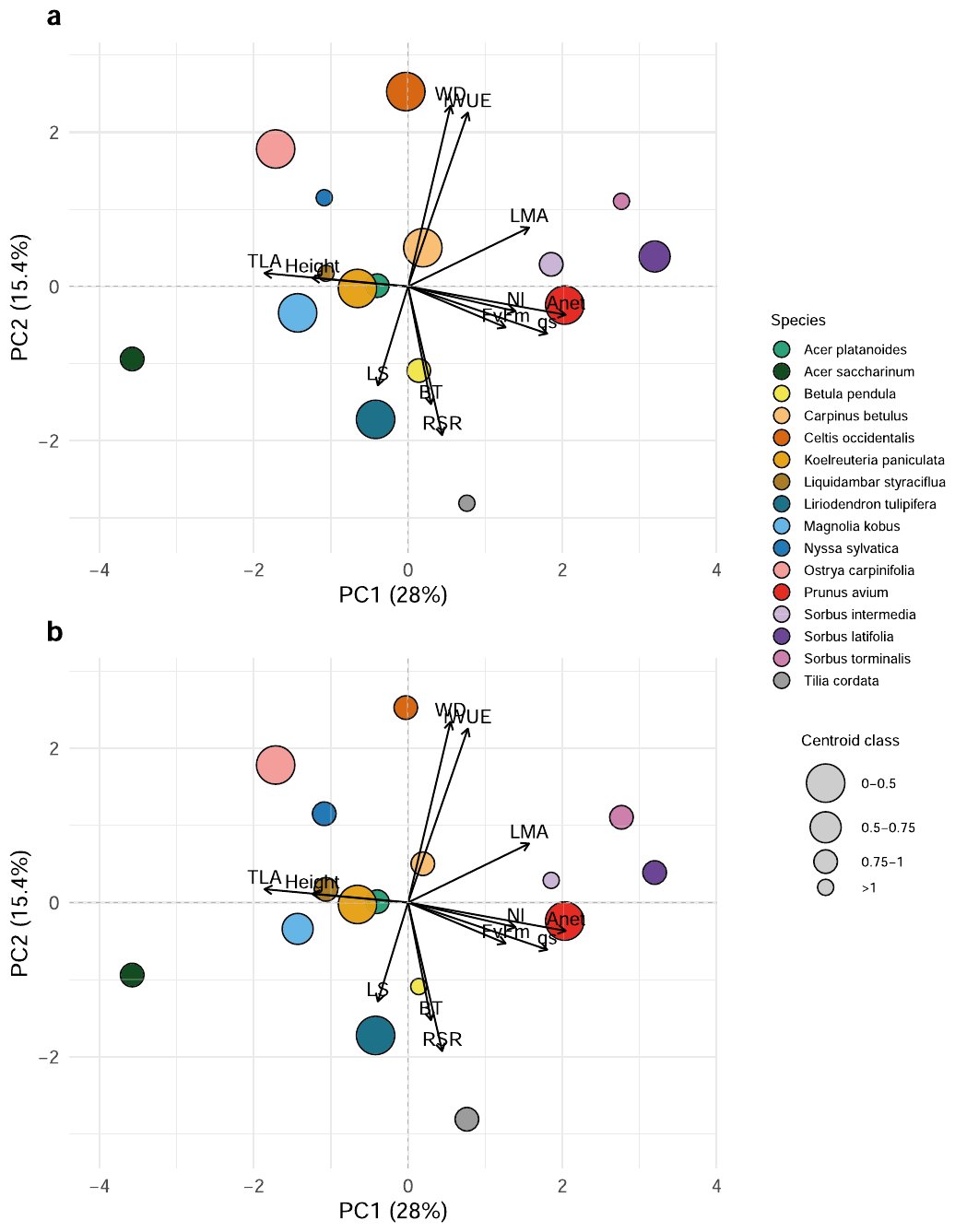 PCA plot of the species based on their traits, with circle size showing the effect of long flooding